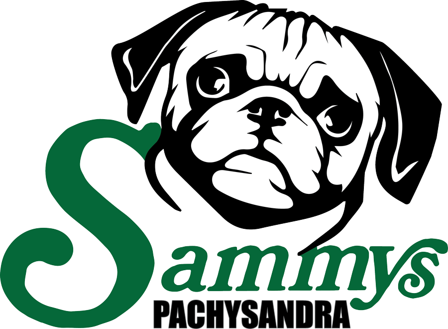 Sammy's Pachysandra Logo